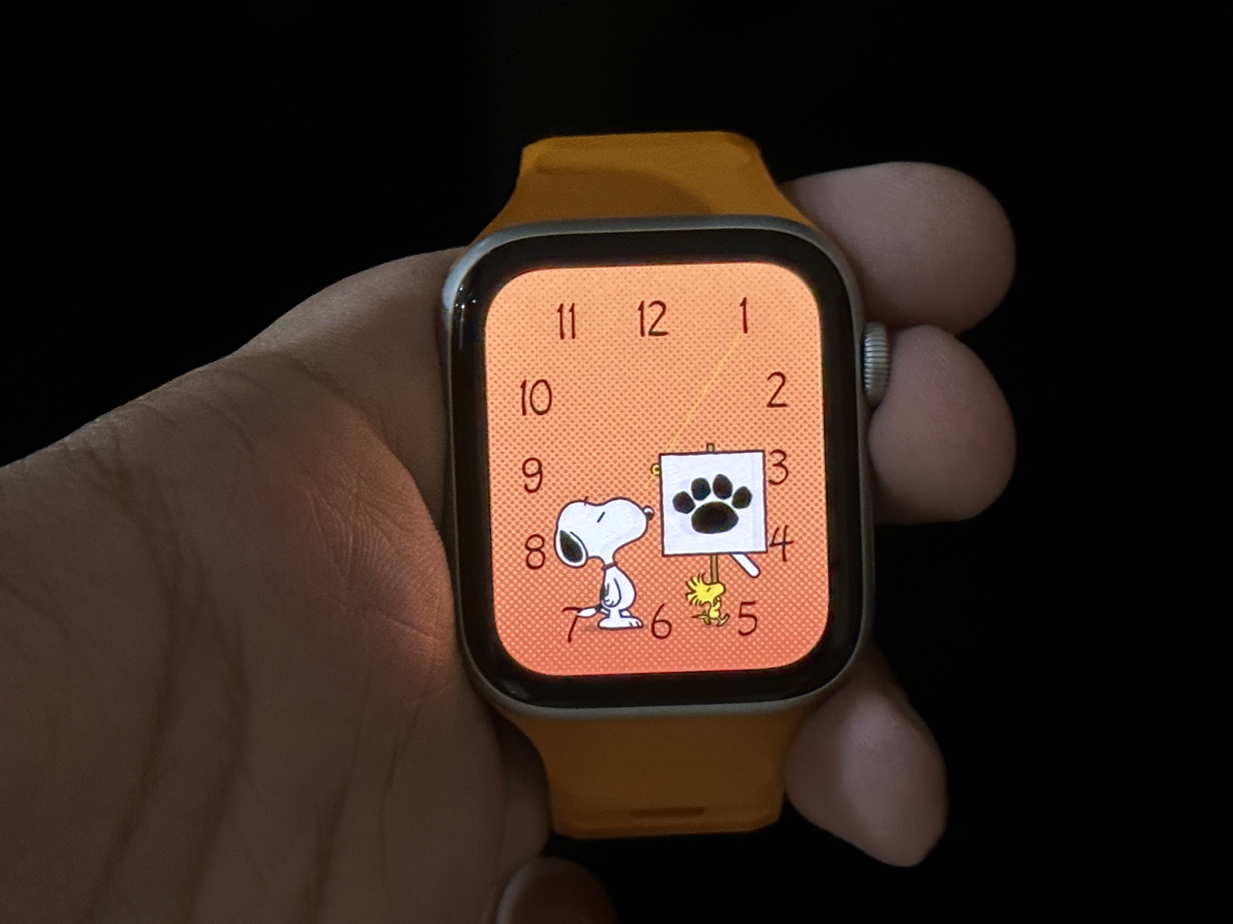 Snoopy Watch Face with Pumpkin background on Apple Watch SE.