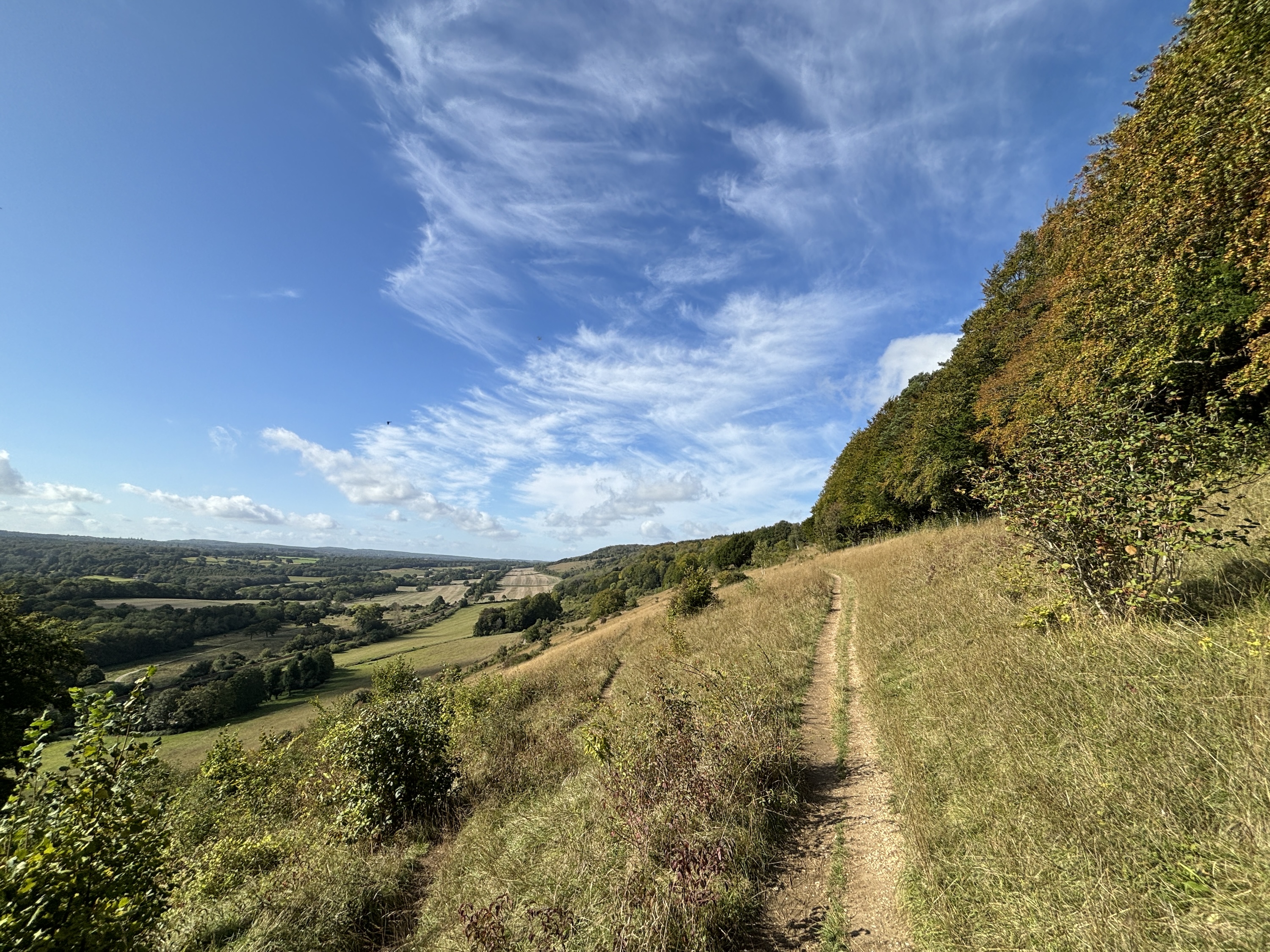 A photo taken with the Apple iPhone 15 Plus's wide-angle camera.