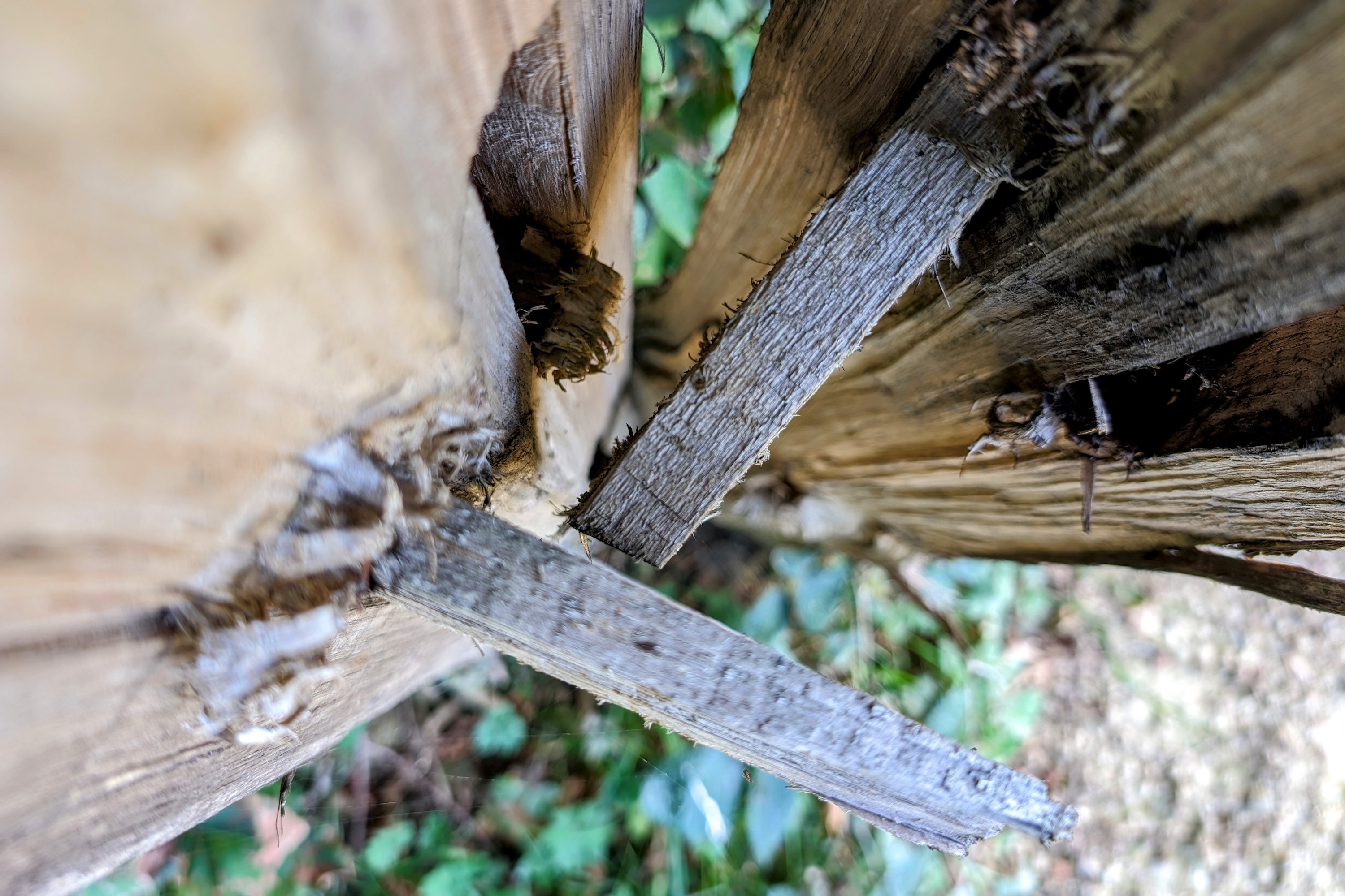A photo taken with the Google Pixel 8, and edited with Google Photos.
