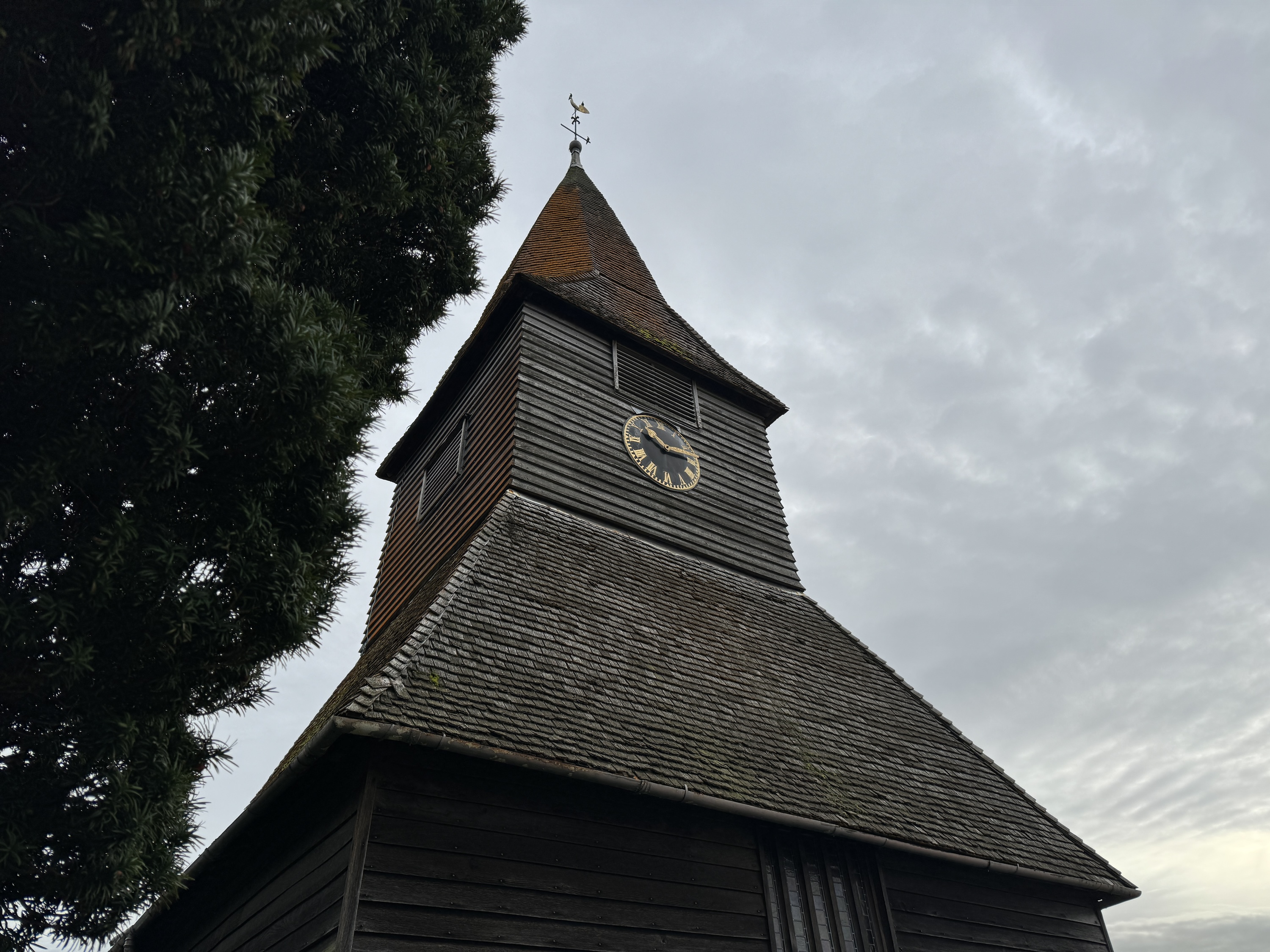 A photo taken with the Apple iPhone 15 Pro Max's main camera at 1x zoom.