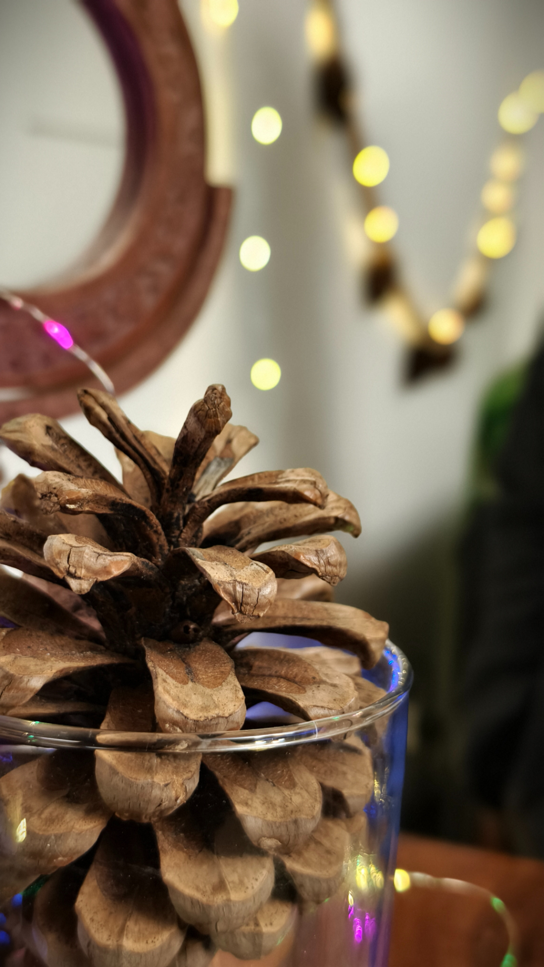 Pine cone kept in a glass jar in front of fairy light shot on the Vivo X100 Zeiss camera.