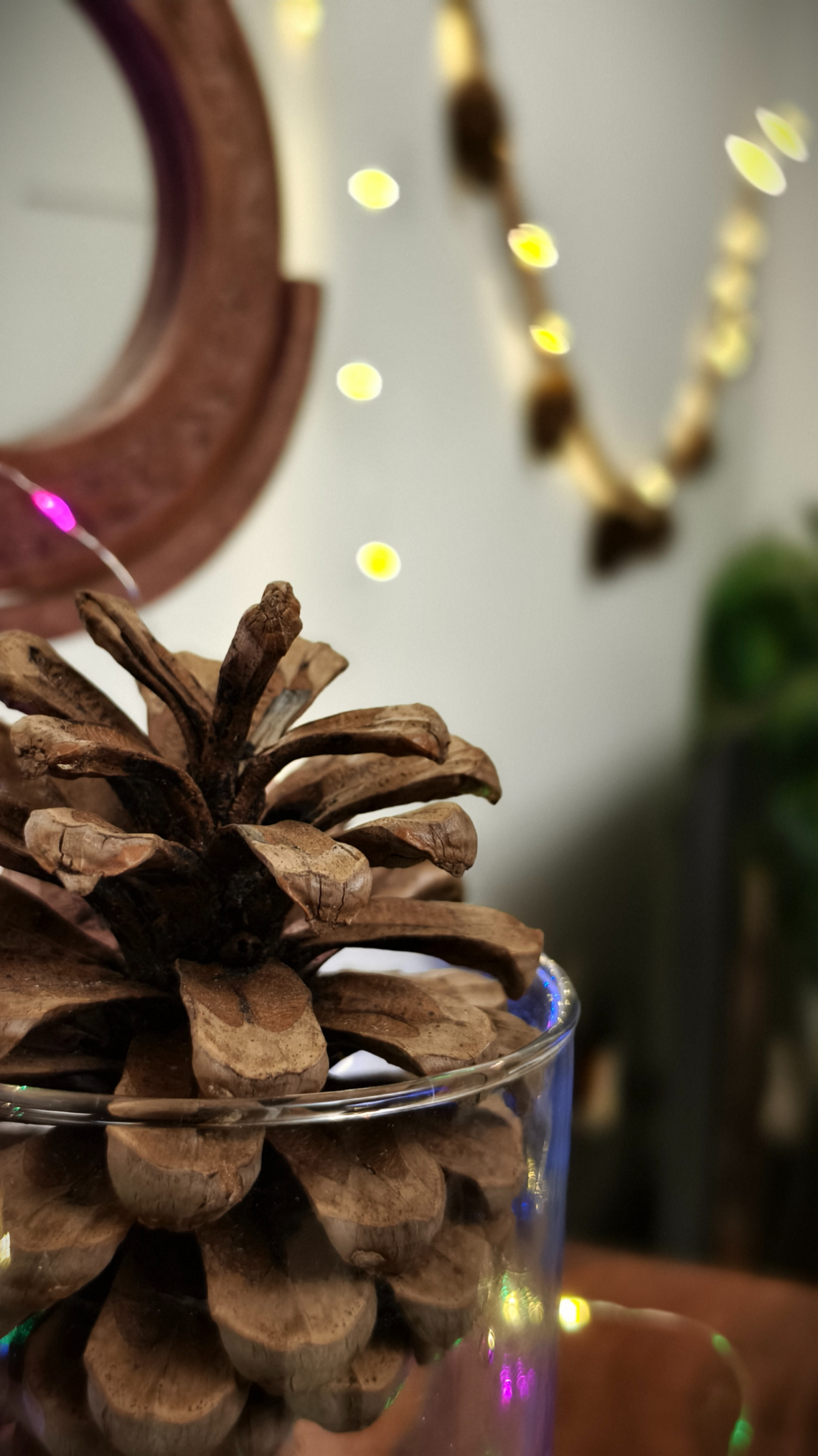 Pine cone kept in a glass jar in front of fairy light shot on the Vivo X100 Zeiss camera.
