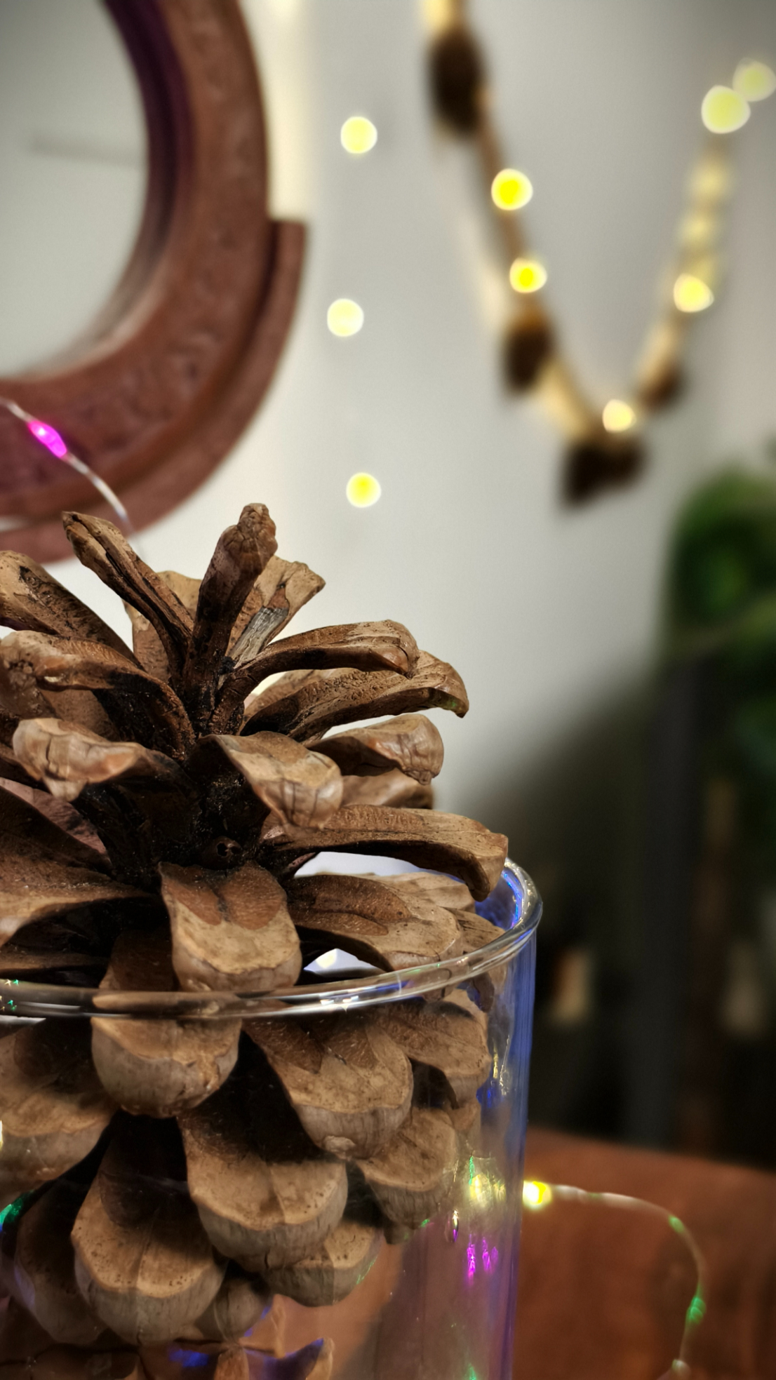 Pine cone kept in a glass jar in front of fairy light shot on the Vivo X100 Zeiss camera.