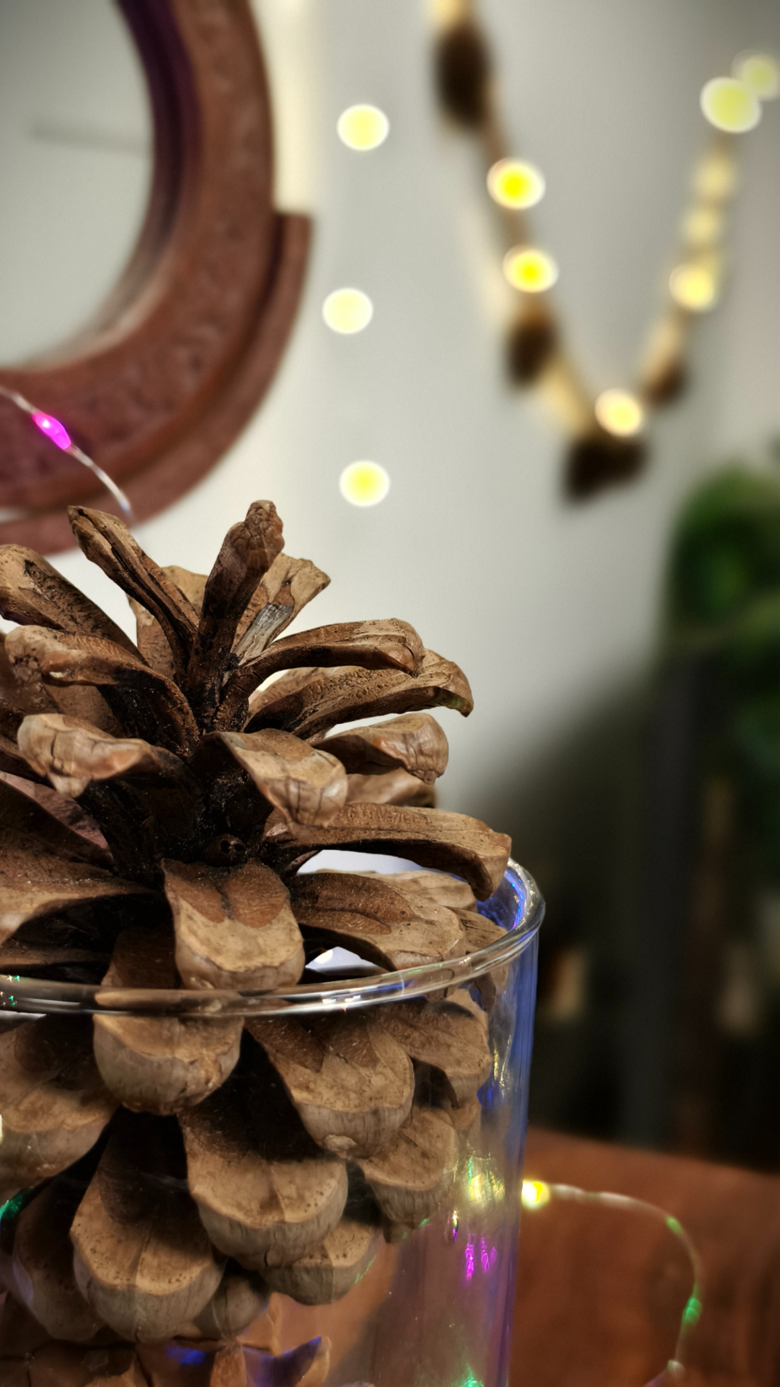 Pine cone kept in a glass jar in front of fairy light shot on the Vivo X100 Zeiss camera.