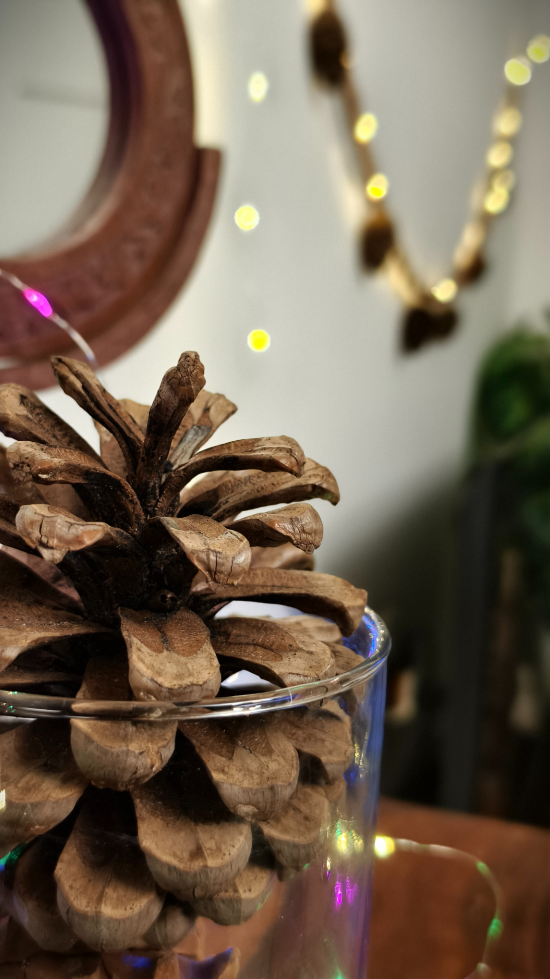 Pine cone kept in a glass jar in front of fairy light shot on the Vivo X100 Zeiss camera.