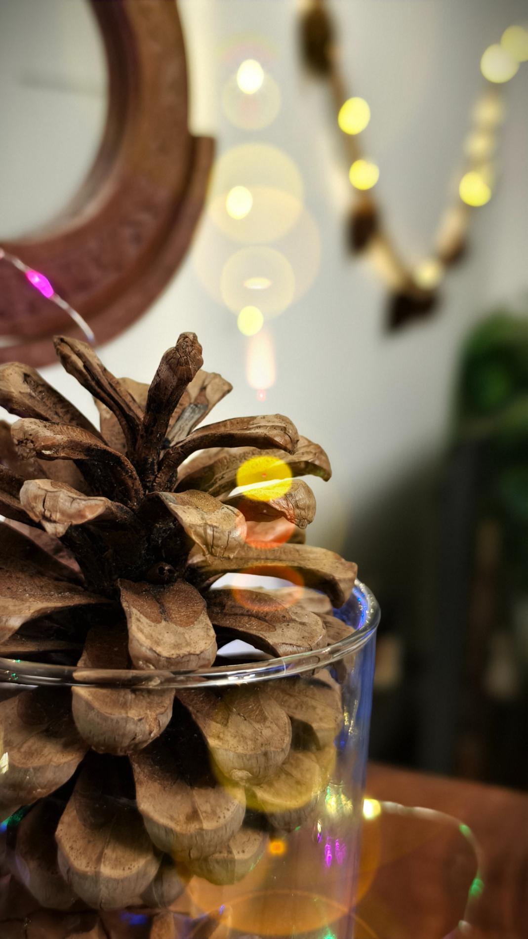 Pine cone kept in a glass jar in front of fairy light shot on the Vivo X100 Zeiss camera.