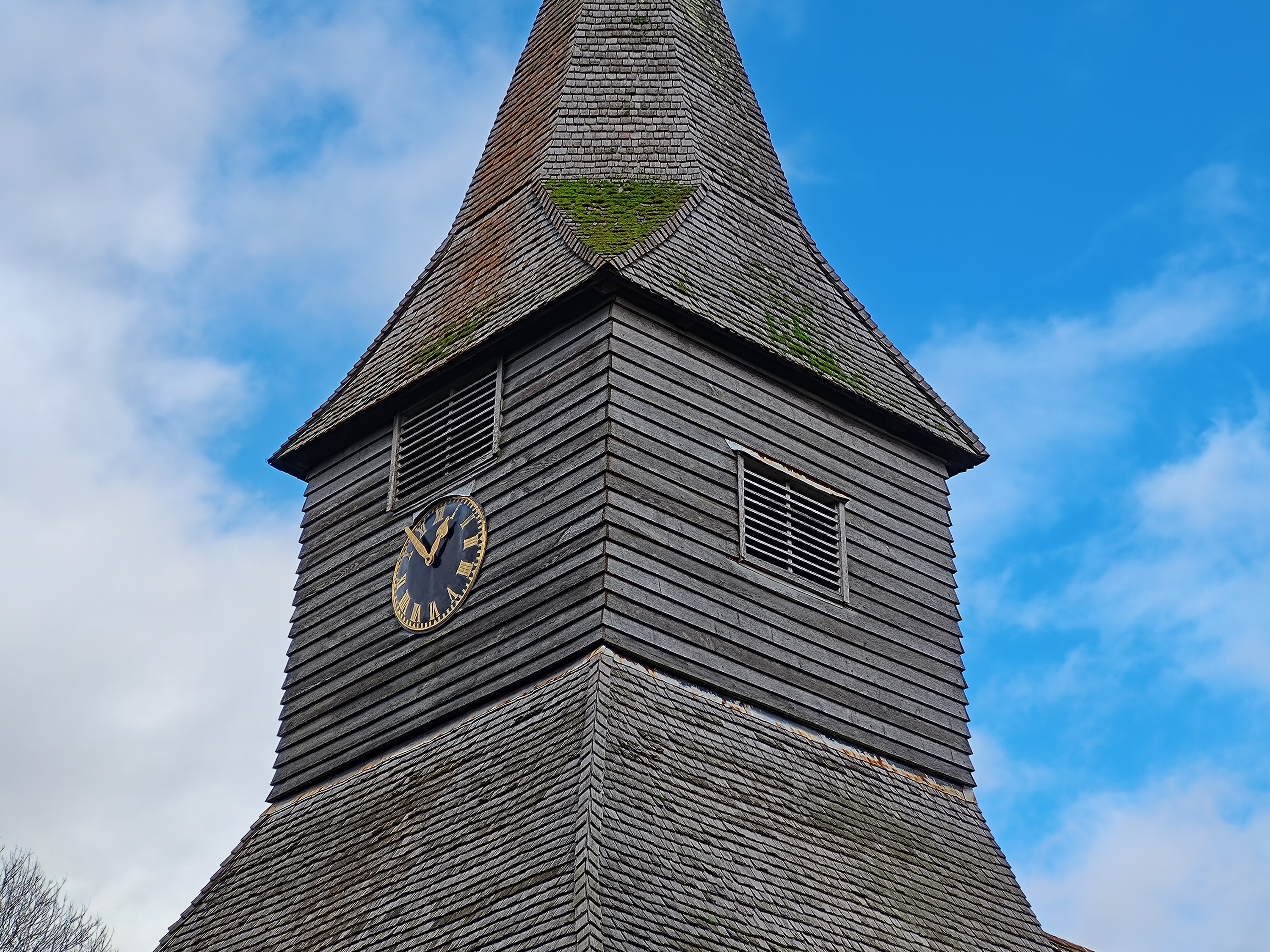 A photo taken using the Asus ROG Phone 8 Pro's 3x zoom camera.