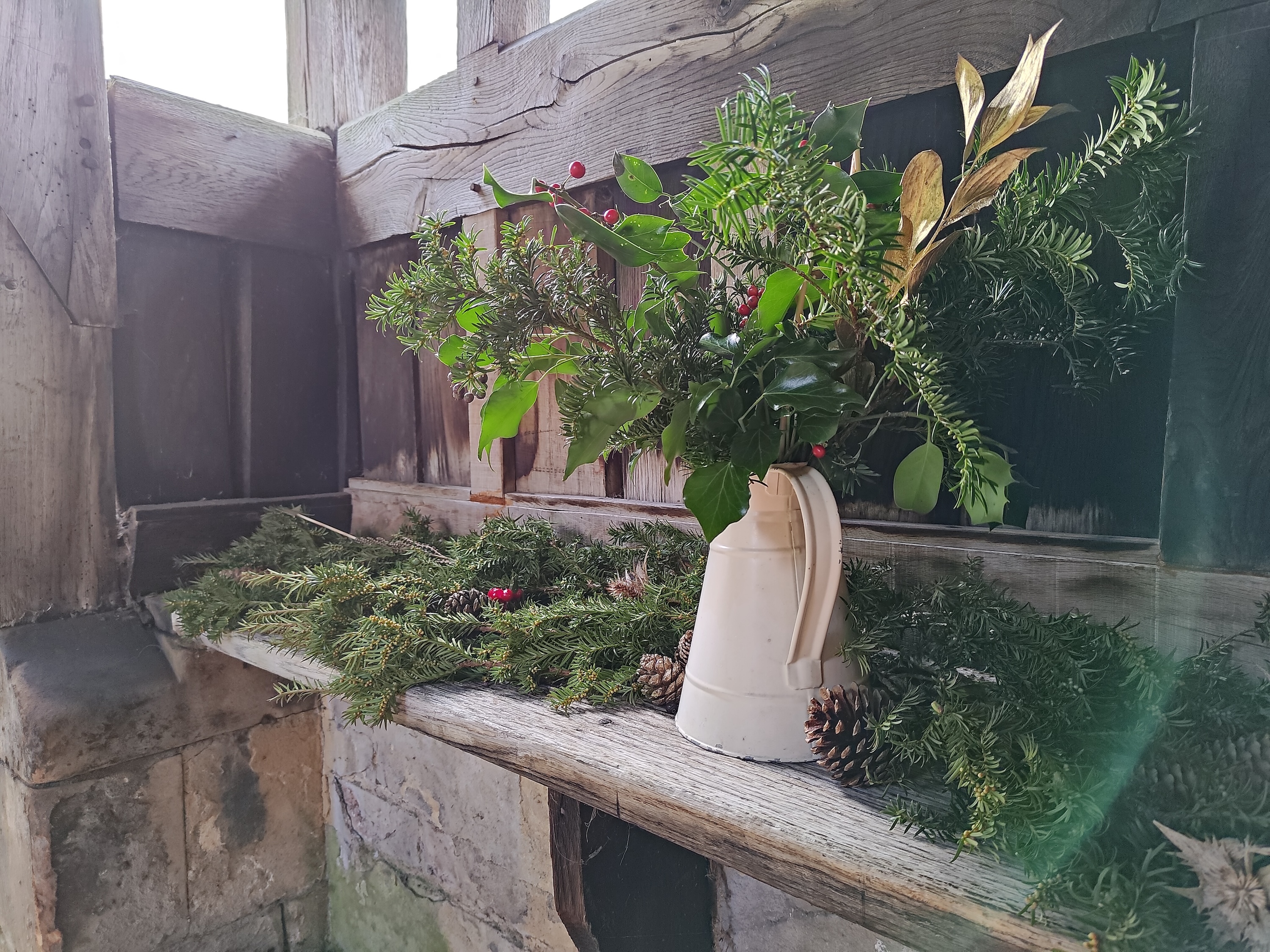 A photo taken using the Asus ROG Phone 8 Pro's main camera.