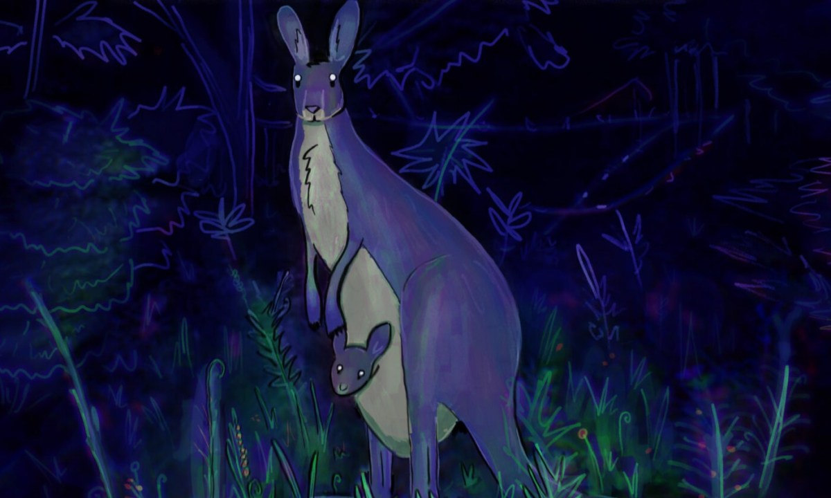 Key art for Animal Well