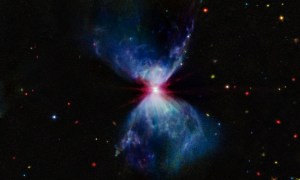 L1527, shown in this image from NASA’s James Webb Space Telescope’s MIRI (Mid-Infrared Instrument), is a molecular cloud that harbors a protostar. It resides about 460 light-years from Earth in the constellation Taurus. The more diffuse blue light and the filamentary structures in the image come from organic compounds known as polycyclic aromatic hydrocarbons (PAHs), while the red at the center of this image is an energized, thick layer of gases and dust that surrounds the protostar. The region in between, which shows up in white, is a mixture of PAHs, ionized gas, and other molecules.