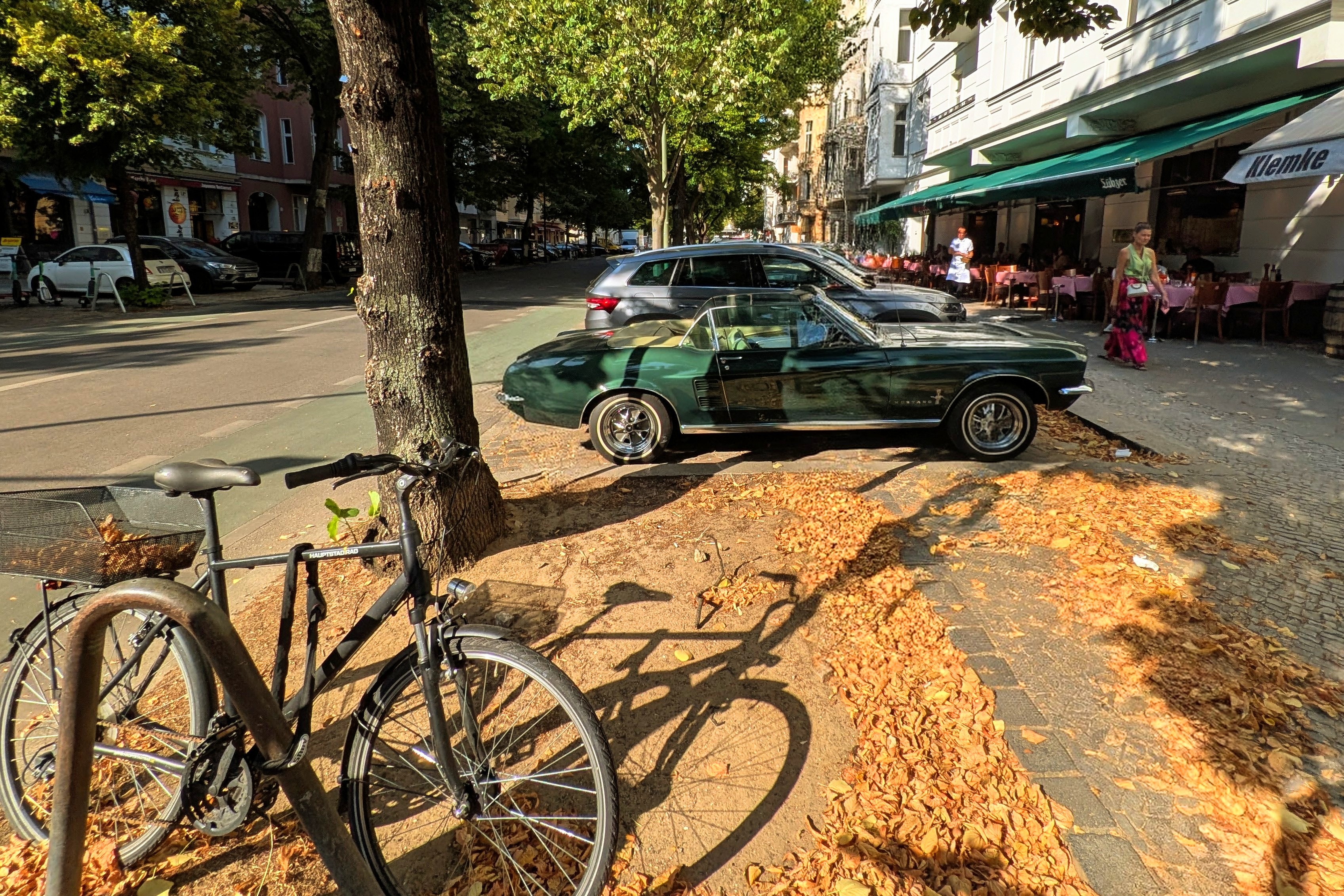 A photo taken with the Google Pixel 9 Pro Fold.