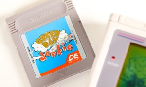 A gray Game Pak Game Boy cartridge with Green Day's dookie cover on it.
