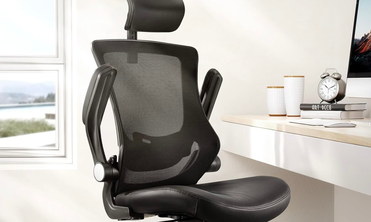 The Marsail Office Chair in an office setting.