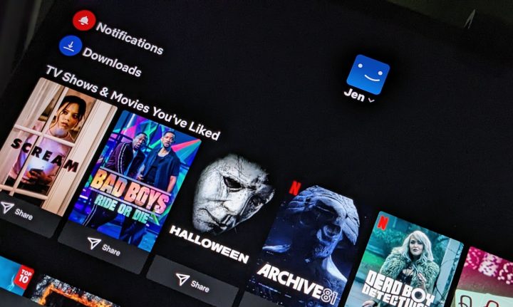 The My Netflix section on the Netflix iOS app.