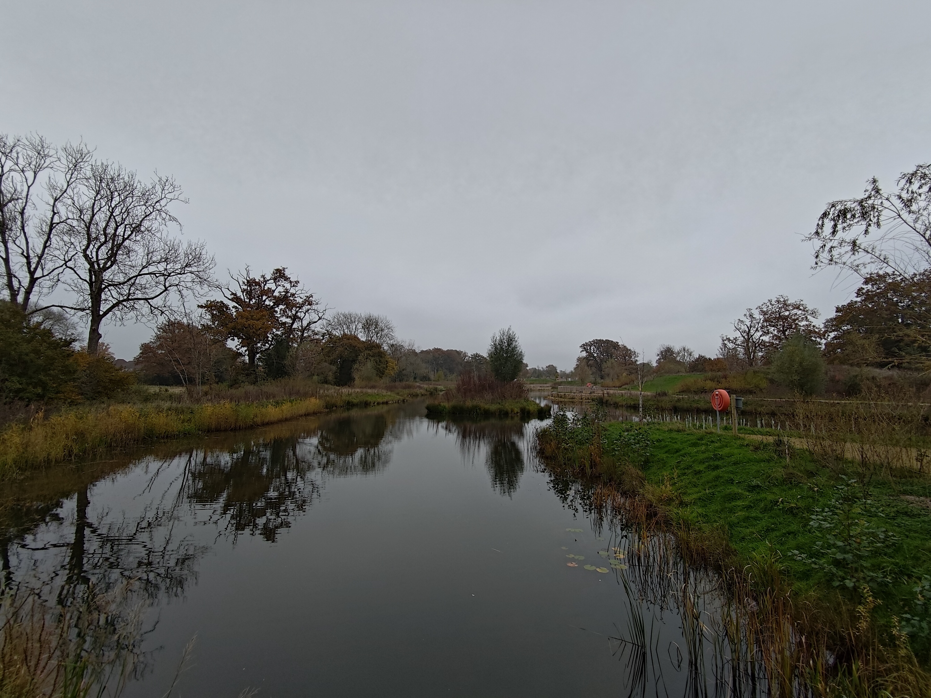 A photo taken with the Asus ROG Phone 9 Pro.