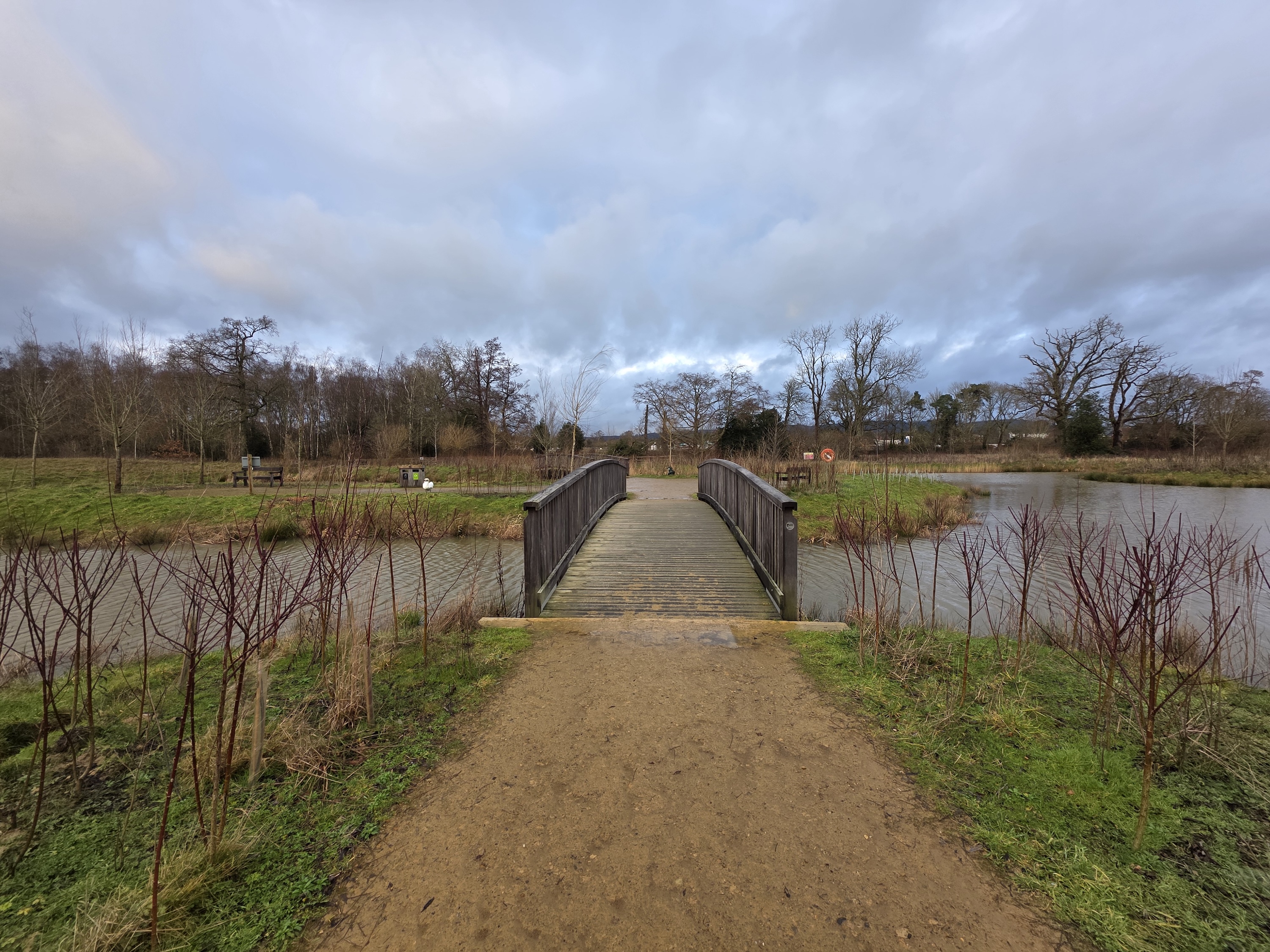 A photo taken with the Samsung Galaxy S25 Ultra's wide-angle camera.