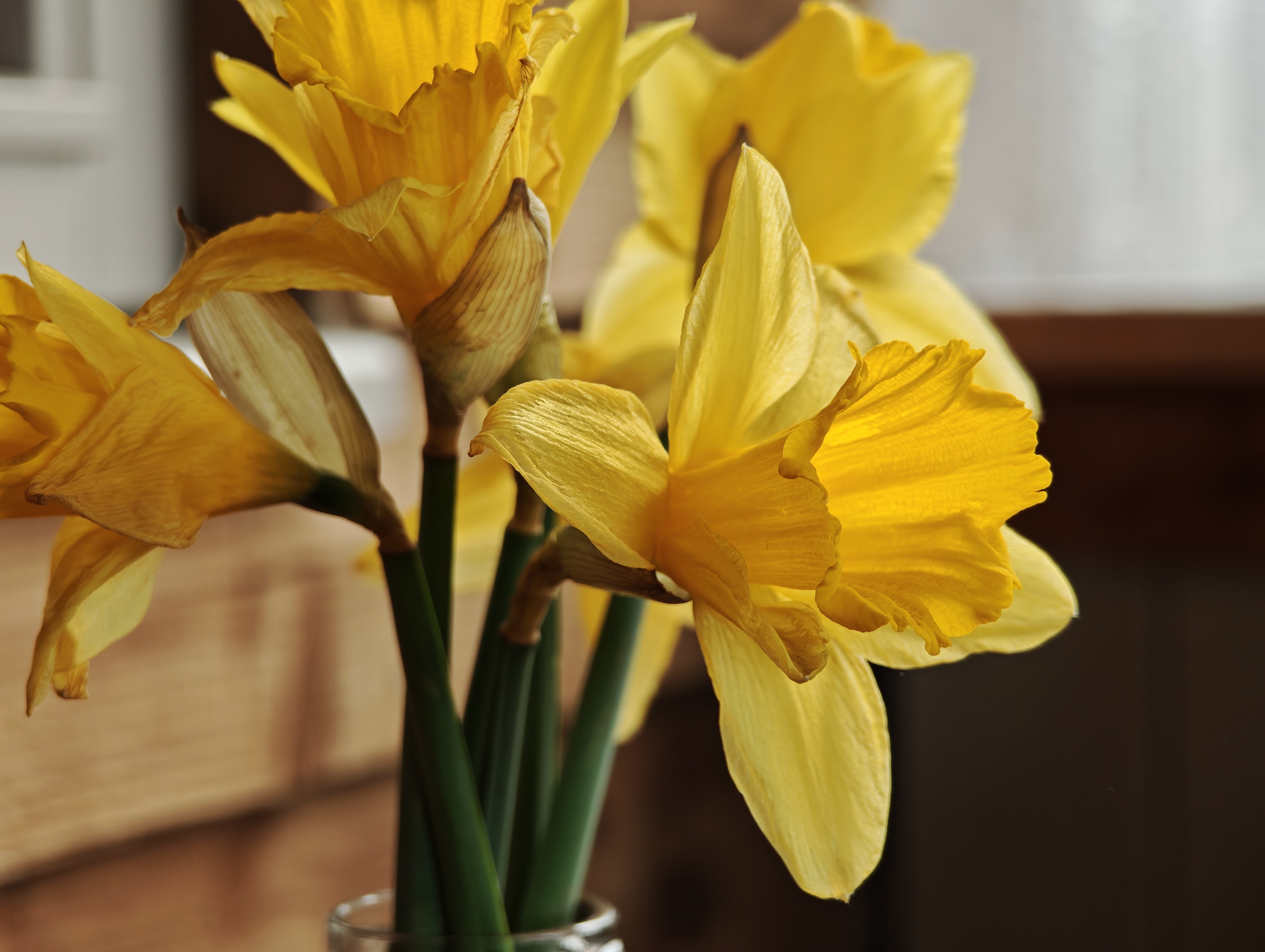 A photo taken with the Xiaomi 15 Ultra.