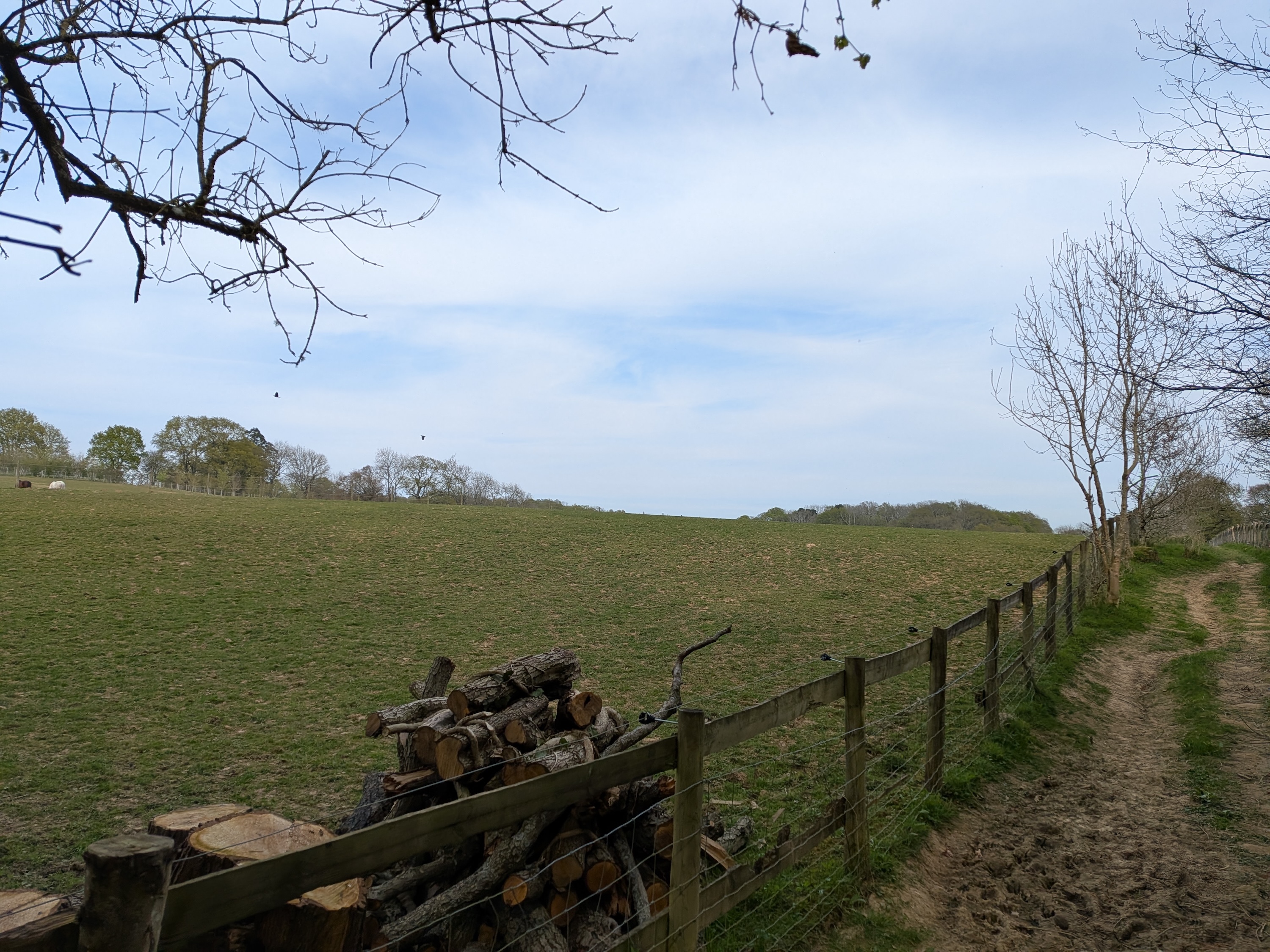 A photo taken with the Google Pixel 9a.