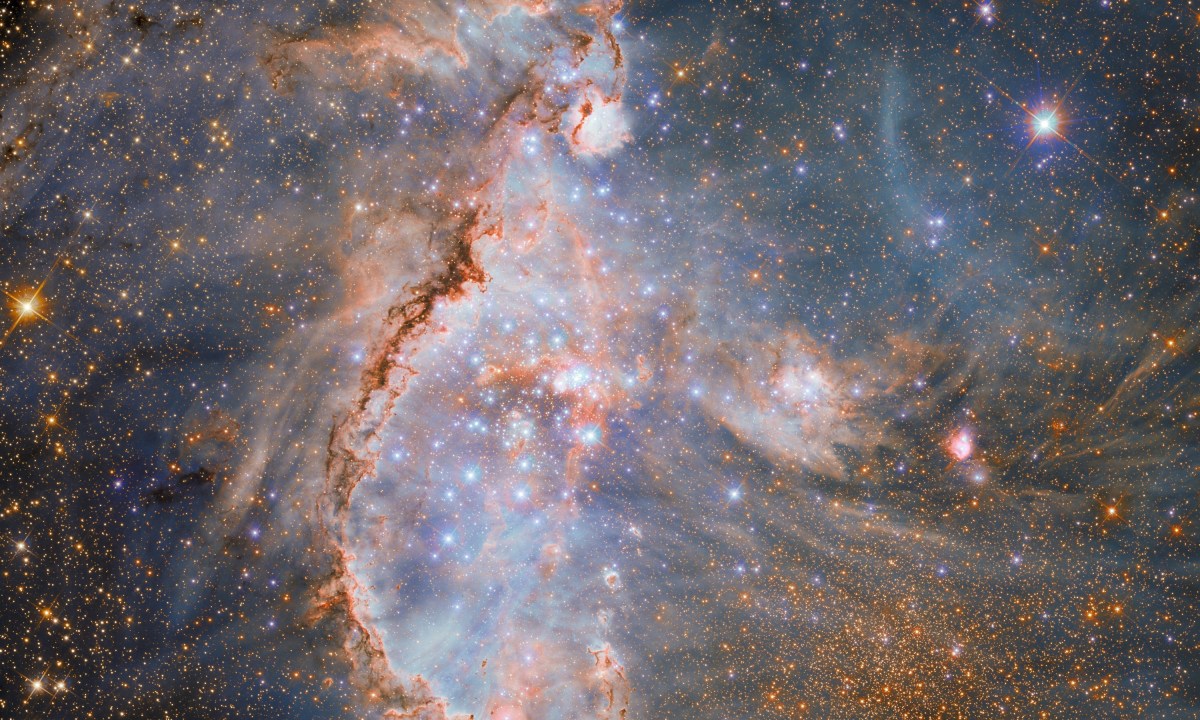 This new image showcases NGC 346, a dazzling young star cluster in the Small Magellanic Cloud.