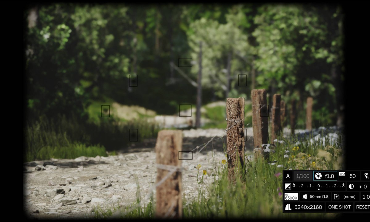 A photographer frames a fencepost in Lushfoil Photography Sim.