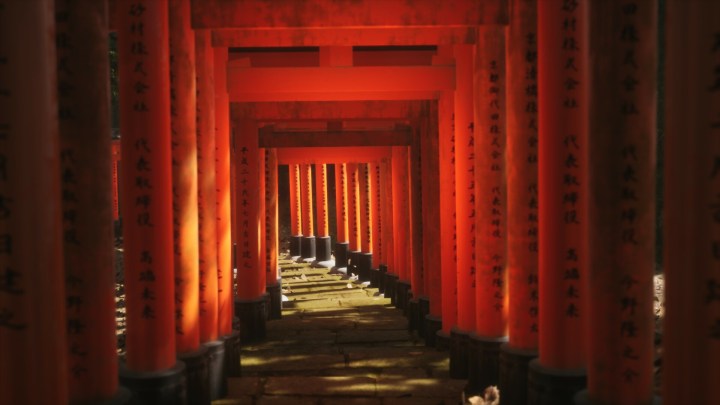 Torii gates appear in Lushfoil Photography Sim.