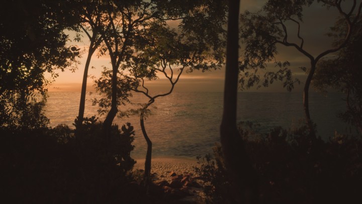 A sunset occurs behind trees in Lushfoil Photography Sim.