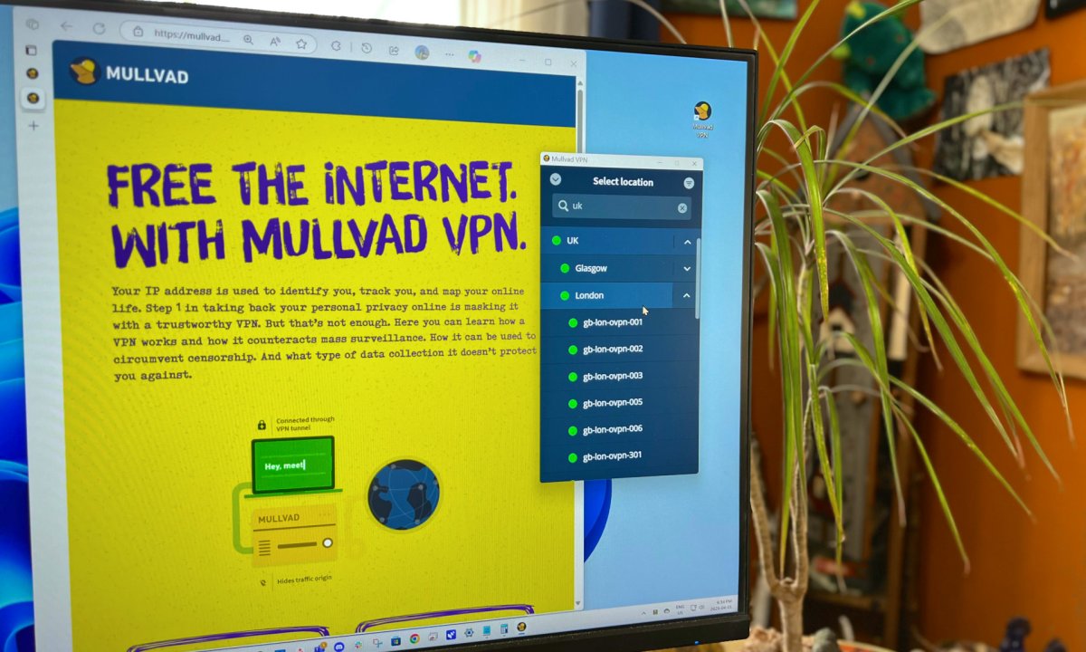Mullvad VPN's app and website appear on a PC monitor.