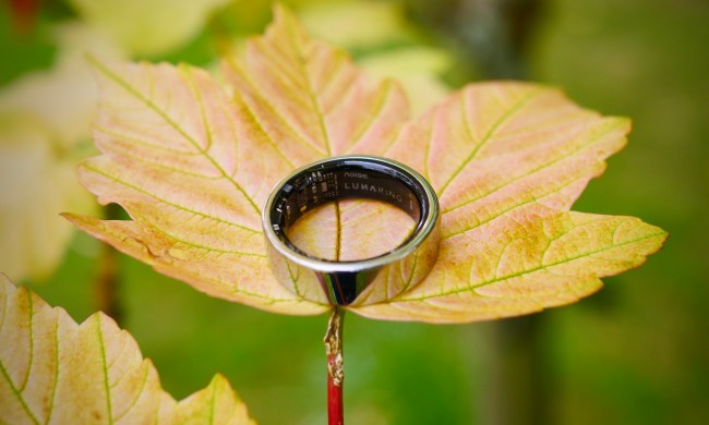The Noise Luna Ring on a leaf.