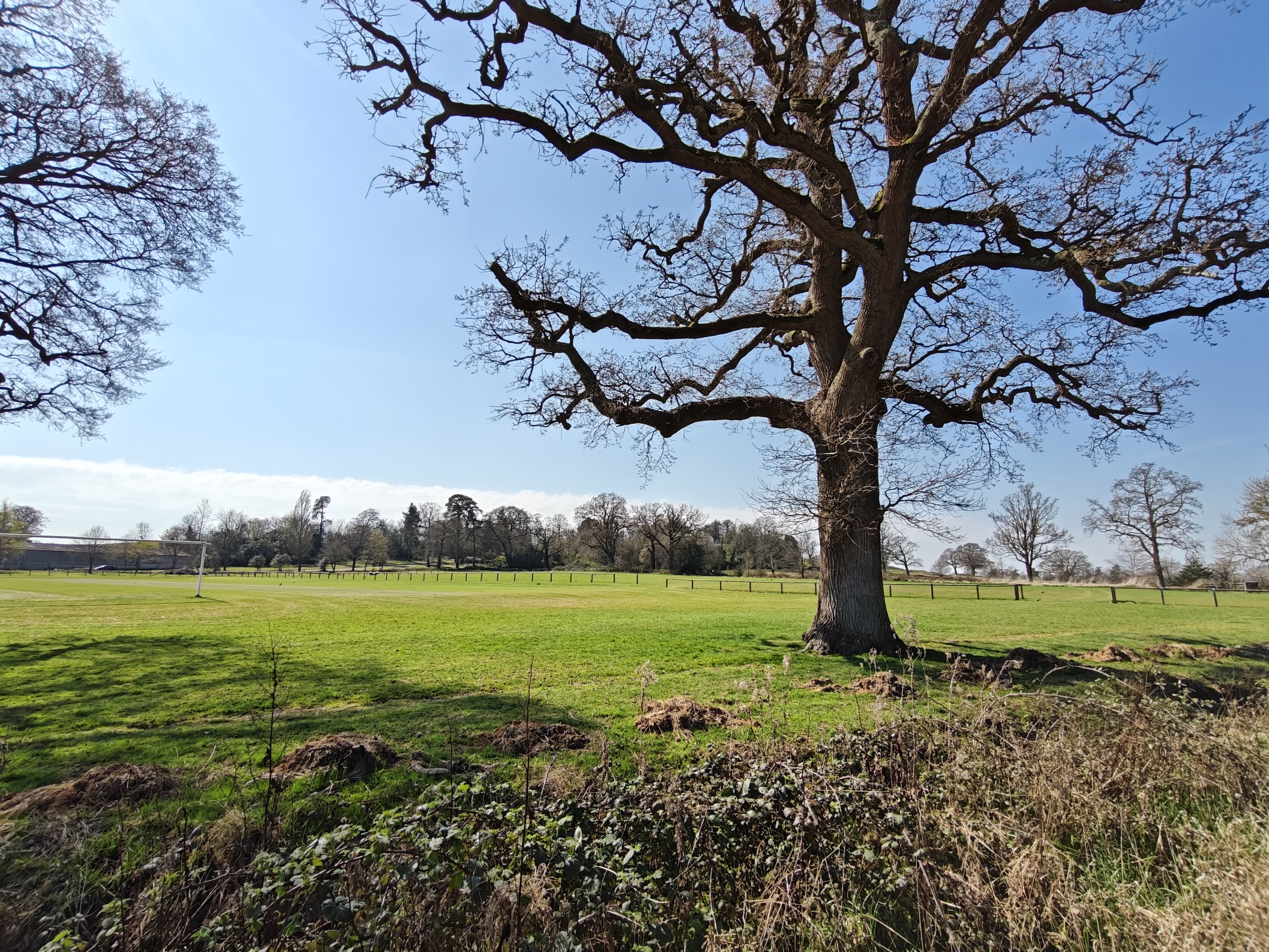 A photo taken with the OnePlus 13R's wide-angle camera.