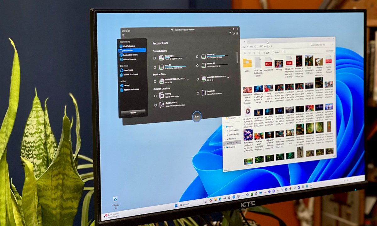 Stellar Data Recovery Premium 2025 is open on a Windows PC.
